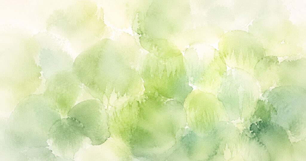ハオルチアの窓を透る光を表した抽象的な水彩イラスト