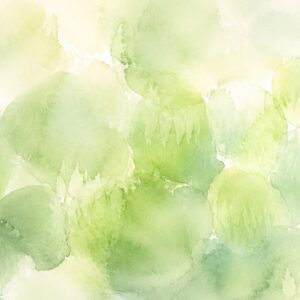 ハオルチアの窓を透る光を表した抽象的な水彩イラスト